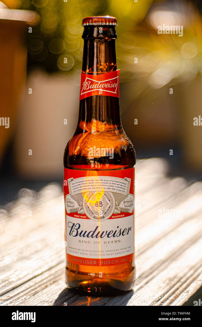 Budweiser
